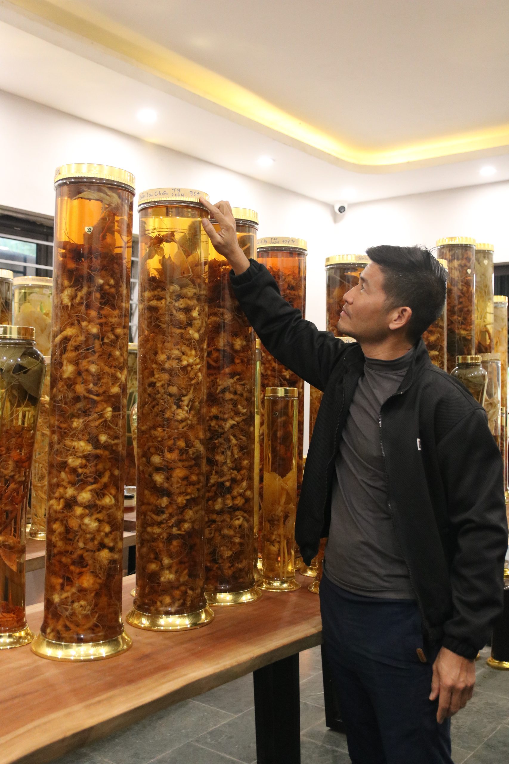 binh ruou sam lai chau size lon pham ngoc duong scaled