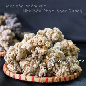 Tam Thất Bắc Khô