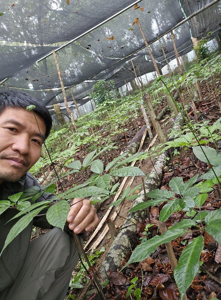 nha bao pham ngoc duong ben vuon sam lai chau 1