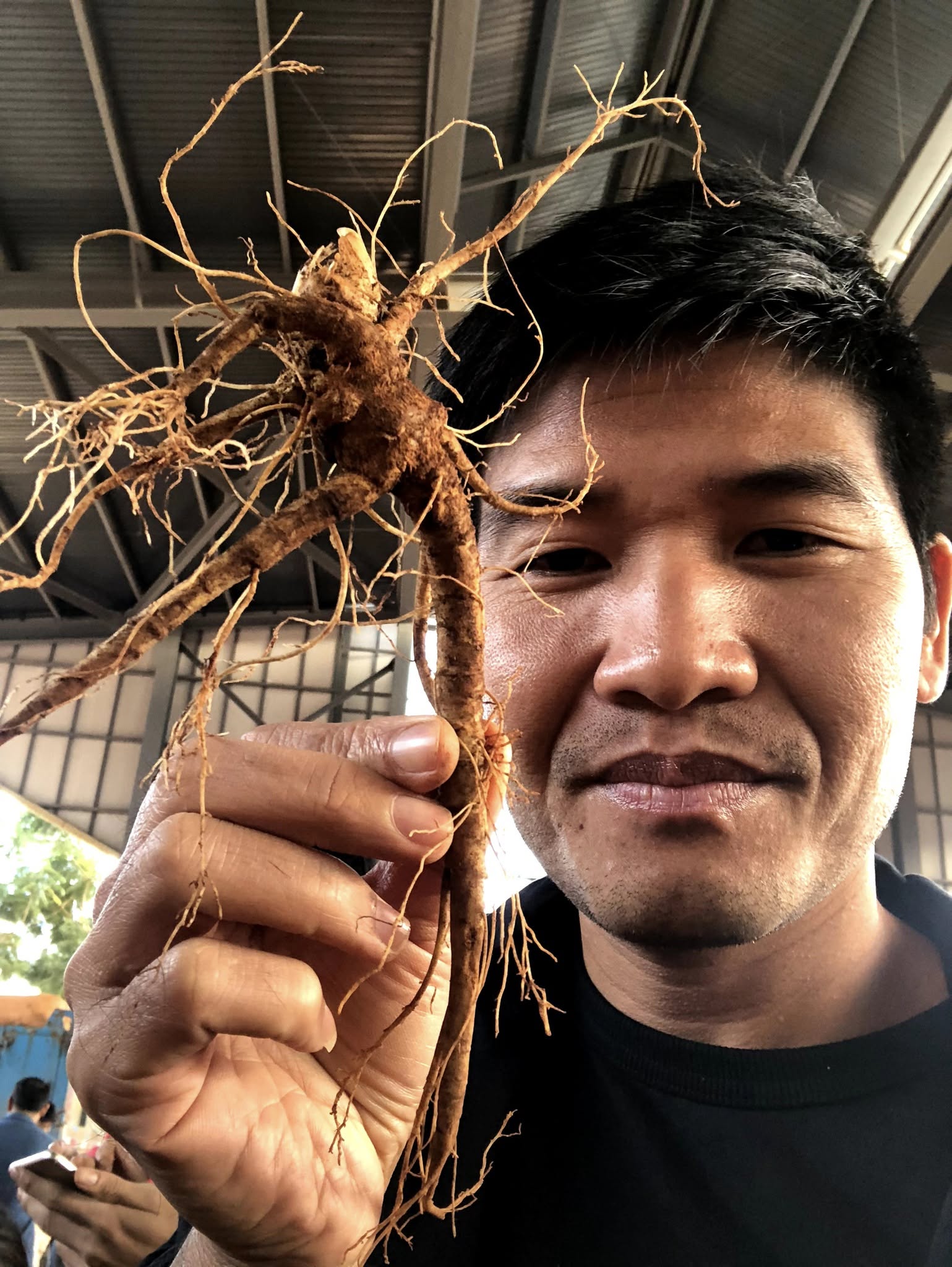 Giải mã tam thất bắc? Phần 1 - Nhà báo Phạm Ngọc Dương 2 giai ma tam that bac pham ngoc duong 1