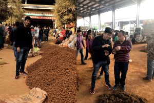 giai ma tam that bac pham ngoc duong 4