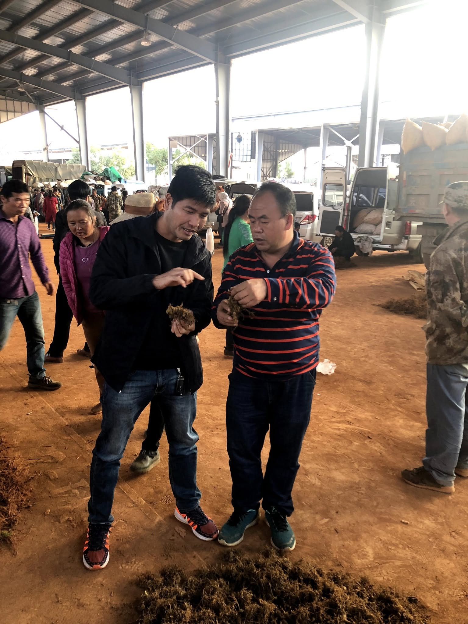 Giải mã tam thất bắc? Phần 1 - Nhà báo Phạm Ngọc Dương 3 giai ma tam that bac pham ngoc duong