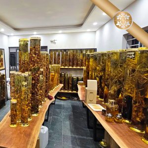 Rượu Sâm Lai Châu