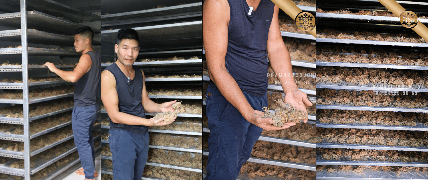 Hệ thống sấy của nhà báo Phạm ngọc Dương