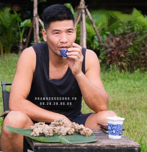 Tam thất bắc của nhà báo phạm ngọc dương