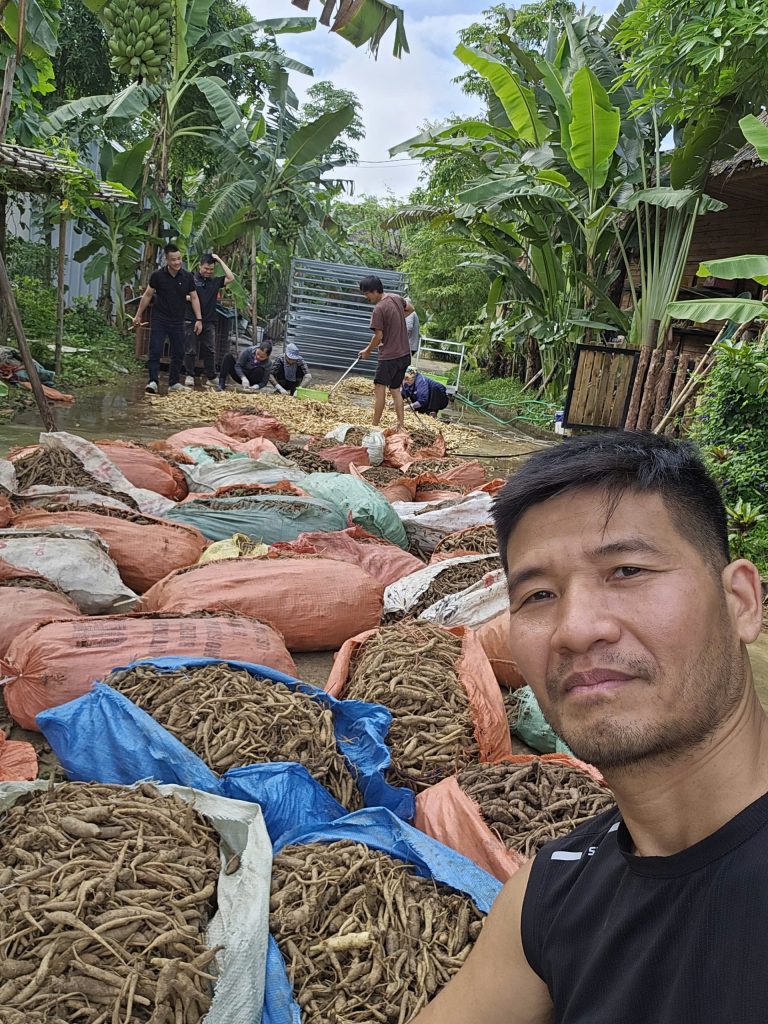 dang sam day tim chat luong 14