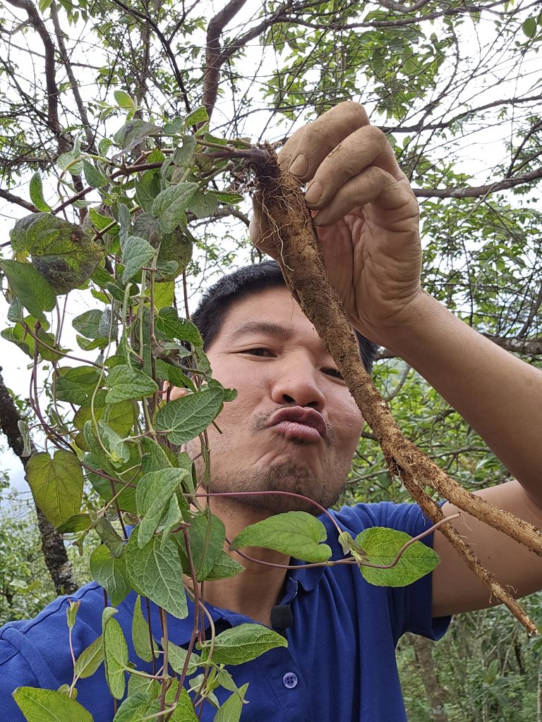 dang sam day tim pham ngoc duong