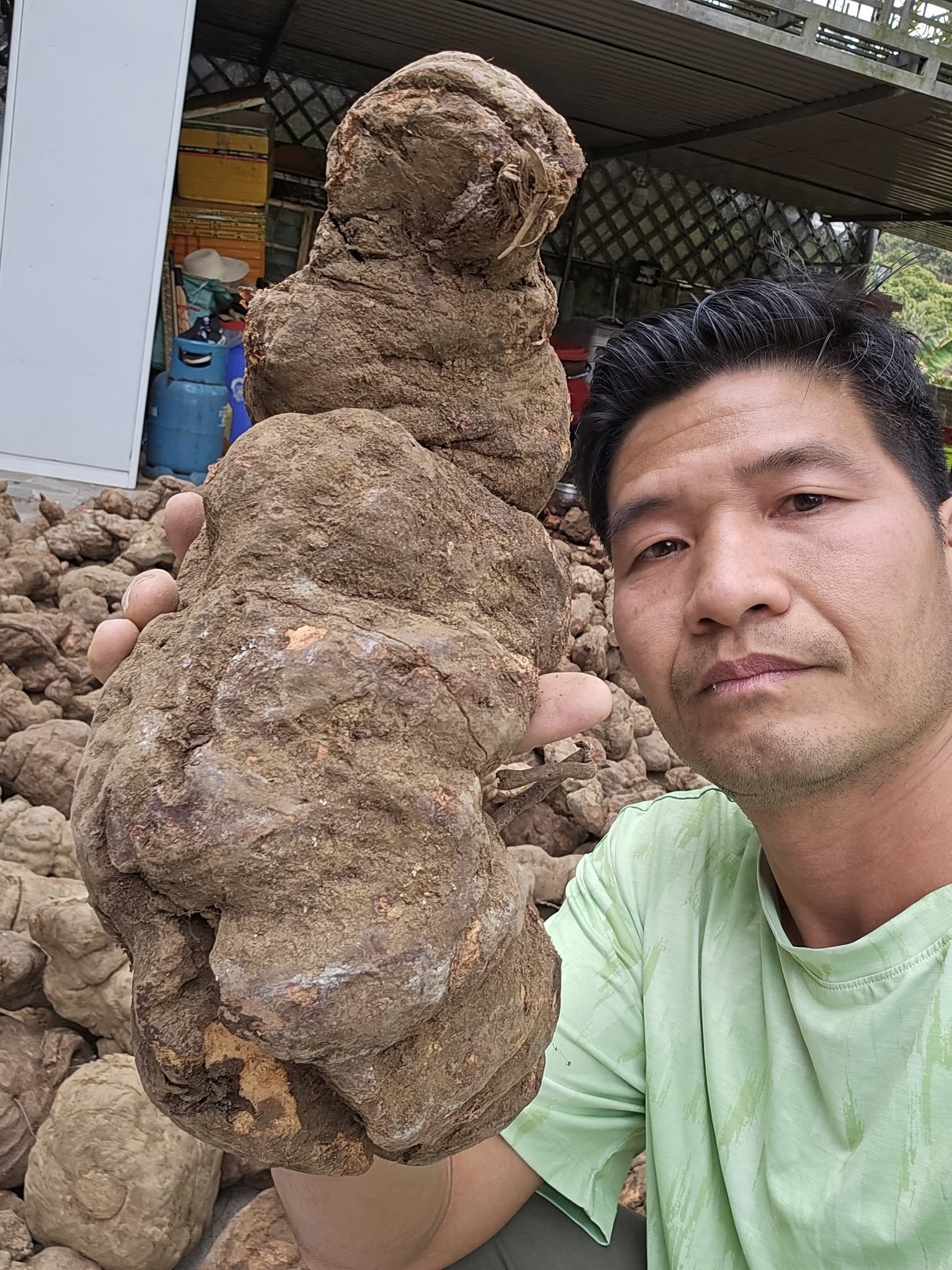 tra sam ha thu o