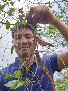 dang sam day tim rung tu nhien pham ngoc duong