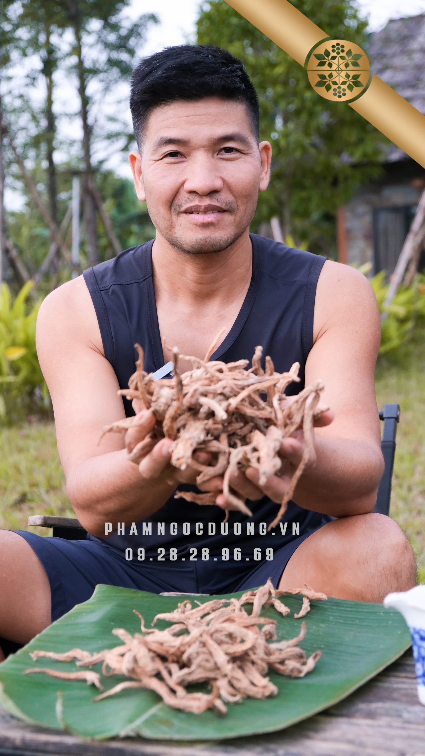 Cách Dùng Đảng Sâm Dây Tím Sấy Khô Sao Cho Đúng 2 dang sam day tim say kho pham ngoc duong 2 scaled