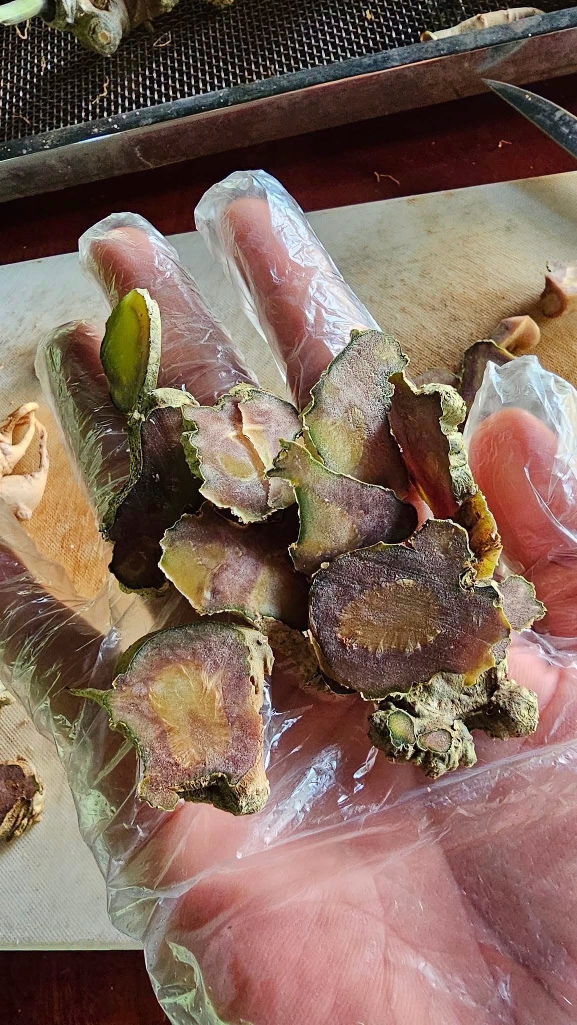 Những Củ Sâm Lai Châu Già Thực Sự 1 sam lai chau gia thuc su nhu the nao