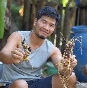 sam ngoc linh di che sam lai chau pham ngoc duong